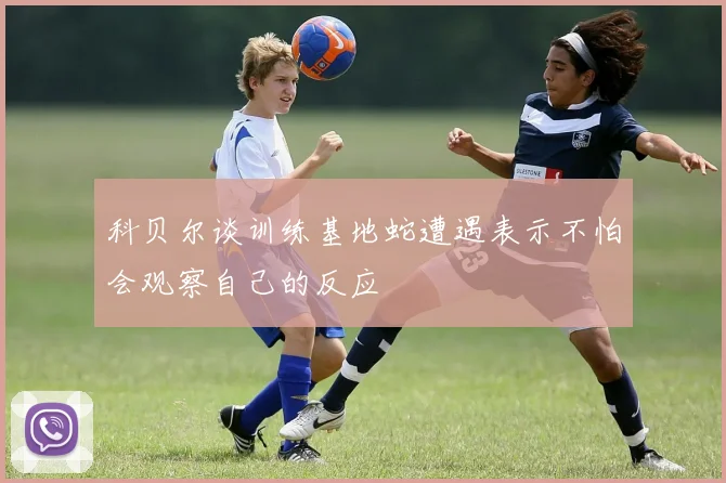 科贝尔谈训练基地蛇遭遇表示不怕会观察自己的反应